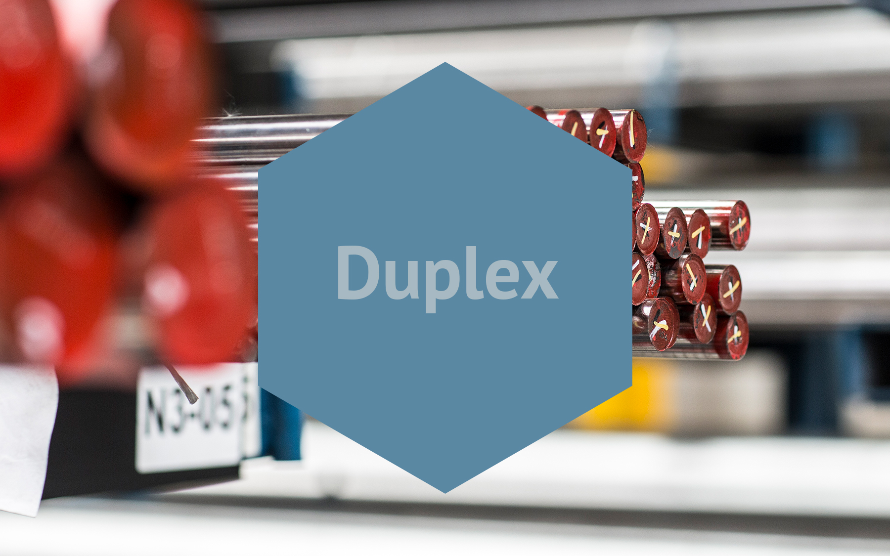Duplex Logo