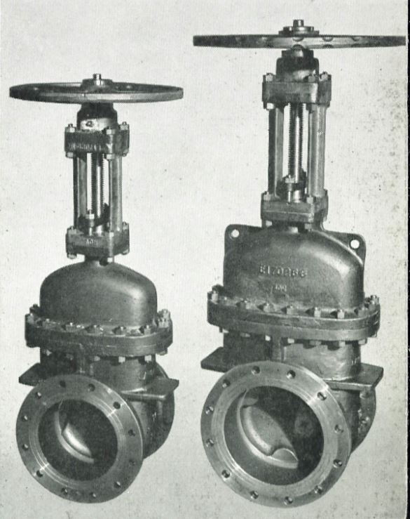 Ferralium 255- Gate Valves